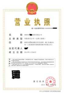 細數轉讓金融科技貿易各行業小規模與一般納稅人公司的利弊——技術轉讓及維護服務深度解析